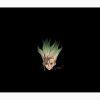 flat750x075f pad750x1000f8f8f8.u2 19 - Dr. Stone Merch